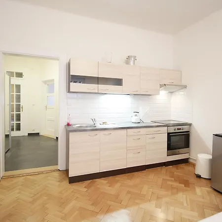 Apartment Deluxe Narodni Obrany 13