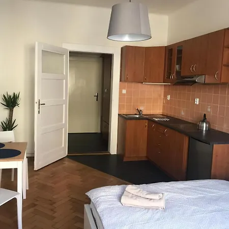 Apartment Deluxe Narodni Obrany 13 *